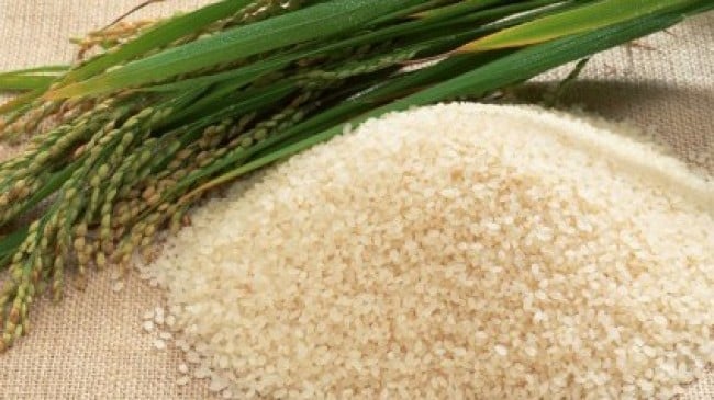 Rice exporters overcome challenges as sales grow 19%