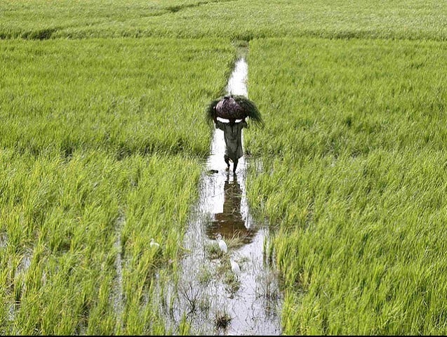 'Corporates will ruin agriculture'